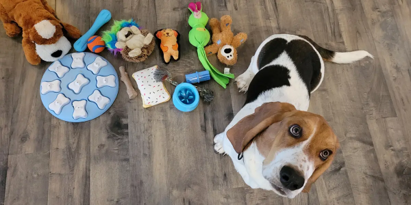 Durable Dog Toys That Last: Perfect for Strong Chewers
