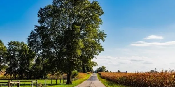 "How Indiana Squatters Rights Apply in Property Disputes and Adverse Possession"