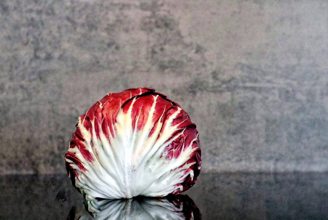 Salad, radicchio, food — Dr. Michael Lebow Promotes Preventive Action for Lifelong Vascular Health