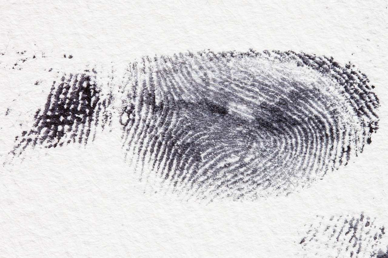 Fingerprint, dactylogram, papillary ridges — Employment Law Experts Ensuring Workplace Fairness