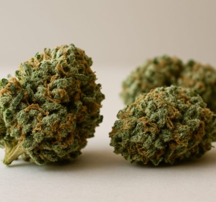 Close-up of several cannabis buds on a neutral background